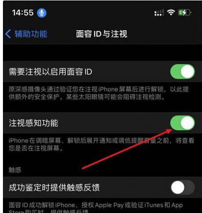 延安苹果14维修网点分享iPhone14注视感知功能有什么用 